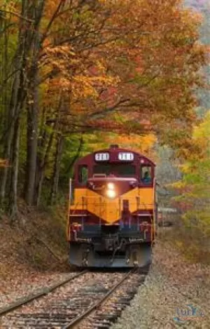 JUM HECHO DE OSCURIDAD. LAS HISTORIAS DE OLGA DE PAPEL