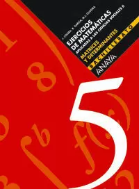 5. MATRICES Y DETERMINANTES