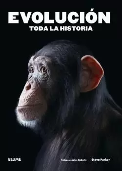 EVOLUCIÓN. TODA LA HISTORIA